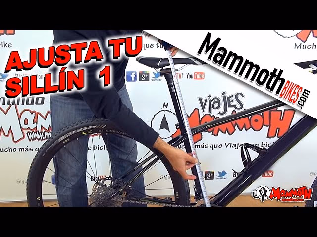 ¿Cuál es la altura ideal del asiento de bicicleta?