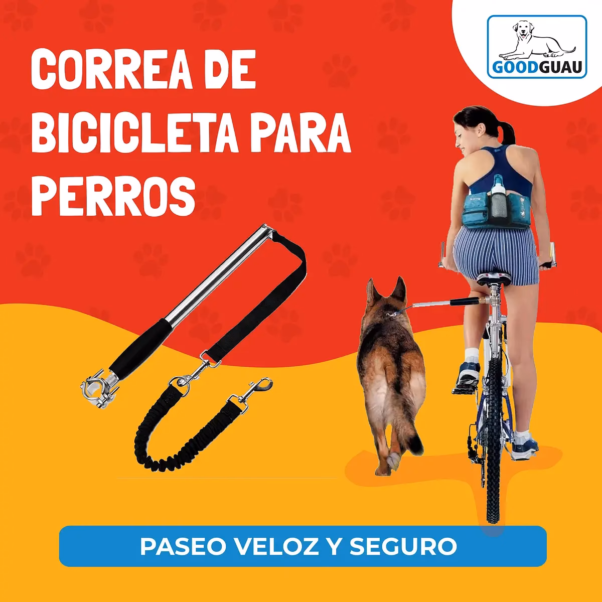 ¿Qué es el bikejoring para perros?