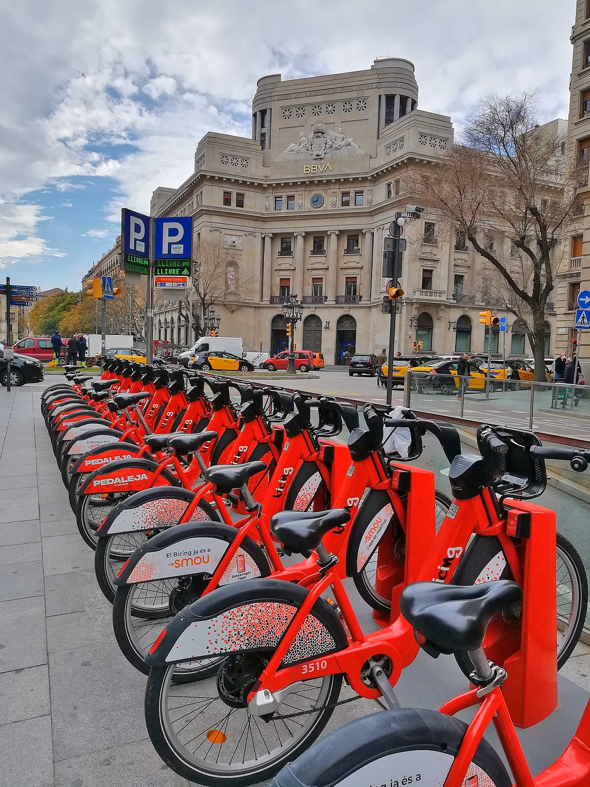 Who owns the state bicycle company?