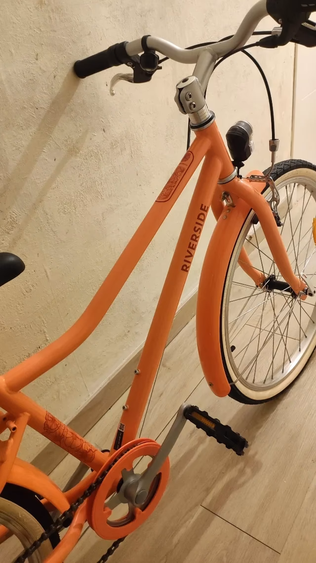 What is the lighter color salmon?