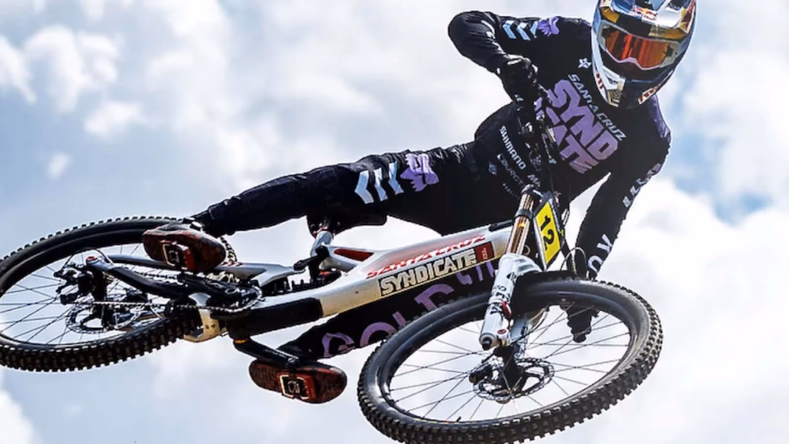 ¿Cuánto cuesta el cuadro de la Santa Cruz V10?