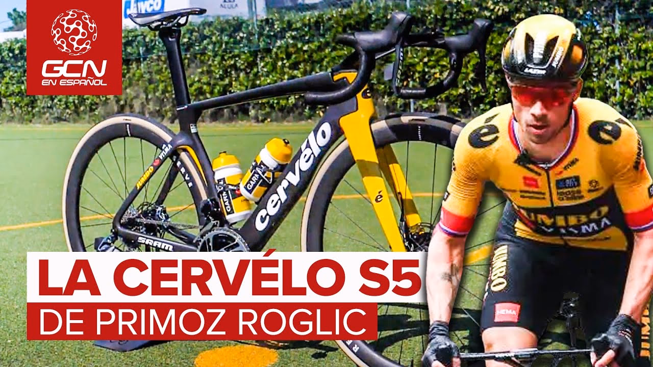 ¿Qué talla de bicicleta usa Primož Roglič?