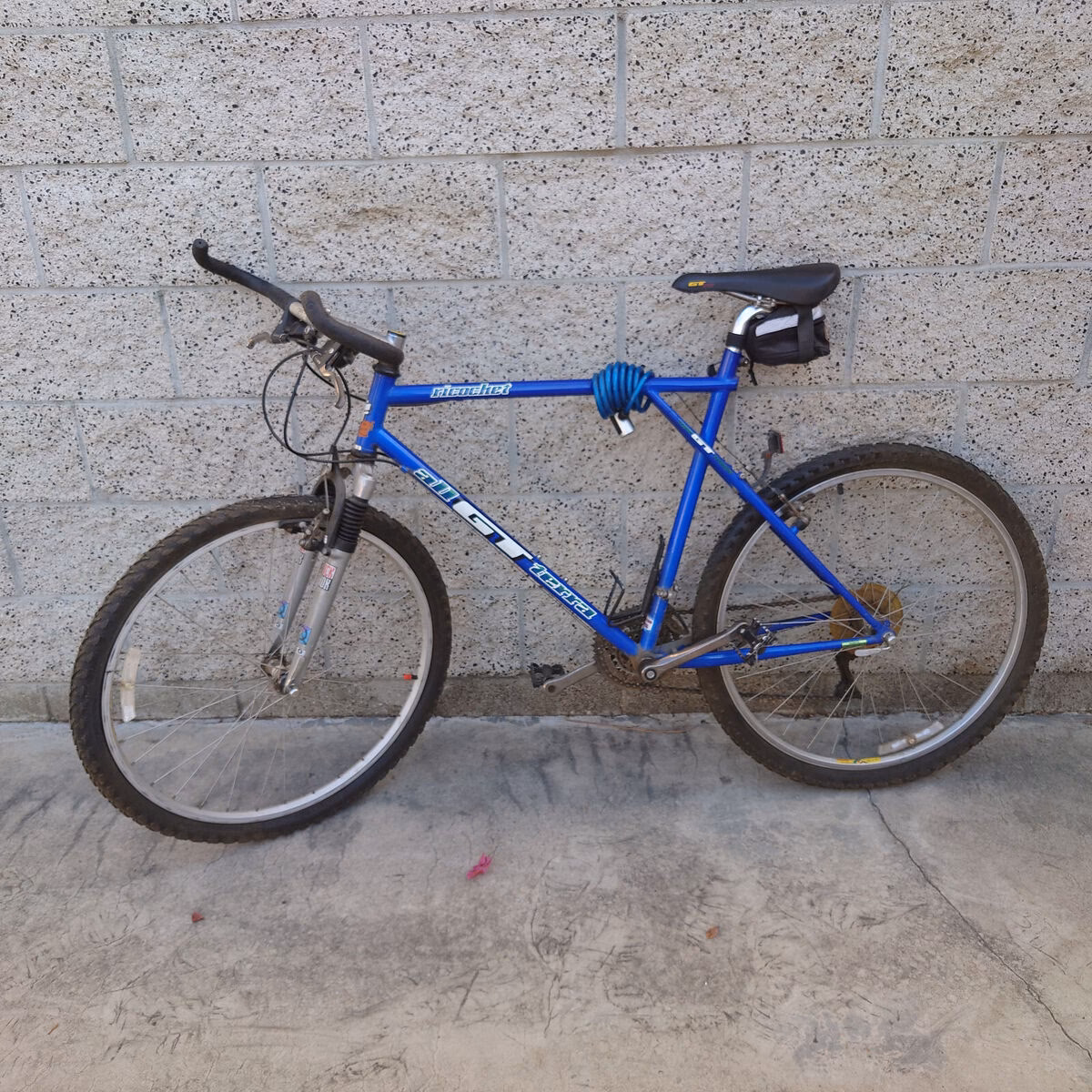 Did Dick's stop selling GT Bikes?