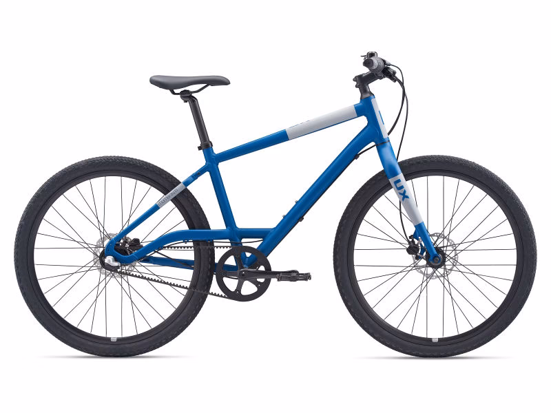 Is Momentum bikes owned by Giant?