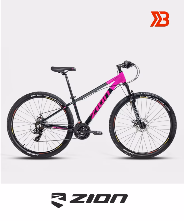 ¿Qué significa MTB 29?