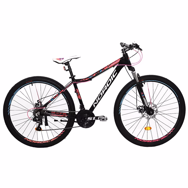 What is the meaning of Bicicleta?