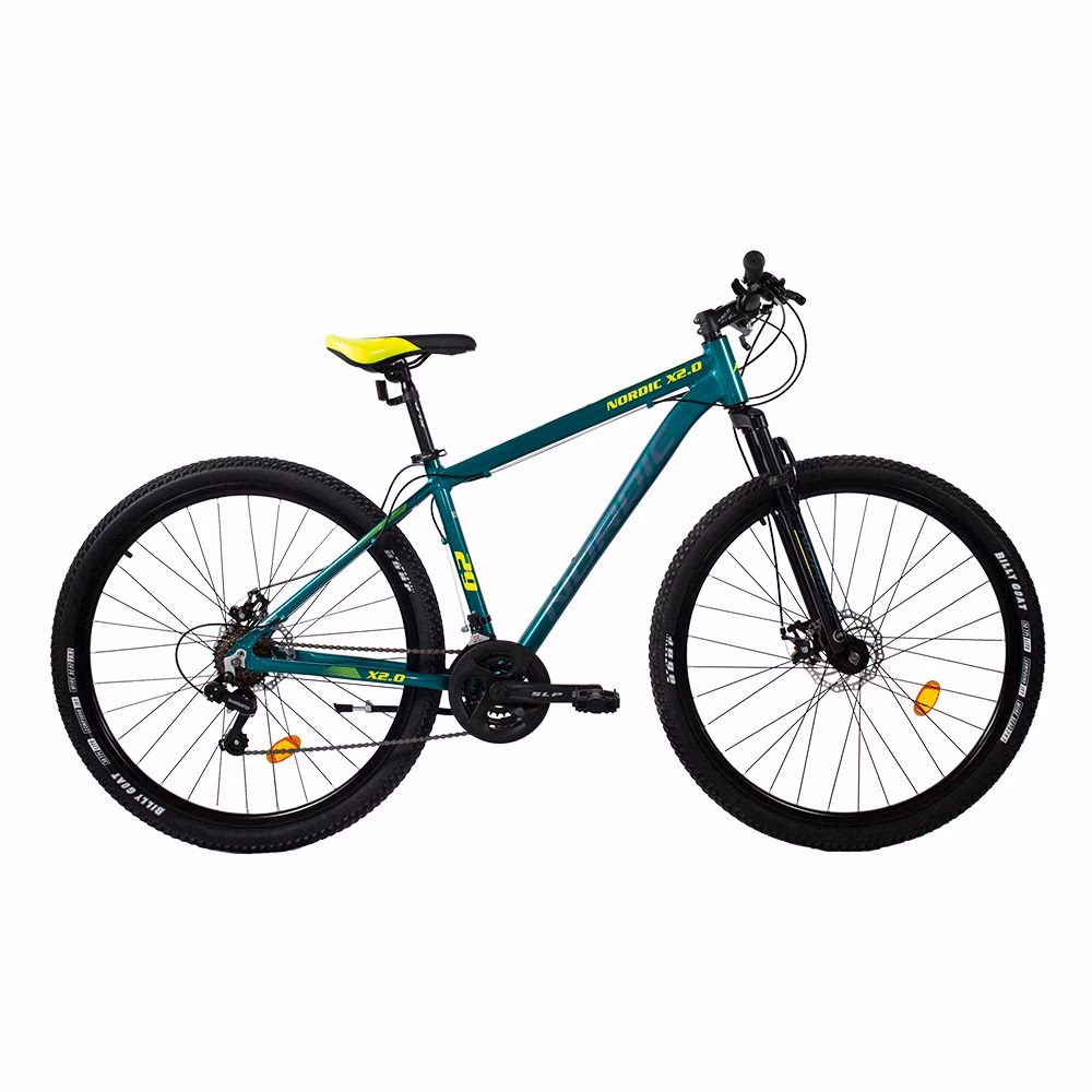What is the meaning of Bicicleta?