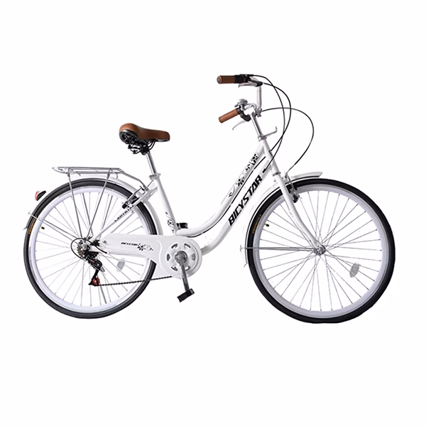 ¿Cómo se llama una bicicleta con suspensión delantera?