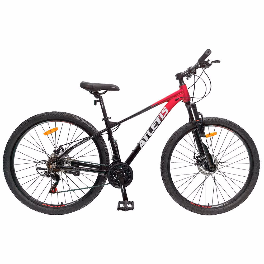 What is a bicicletta in Italian?