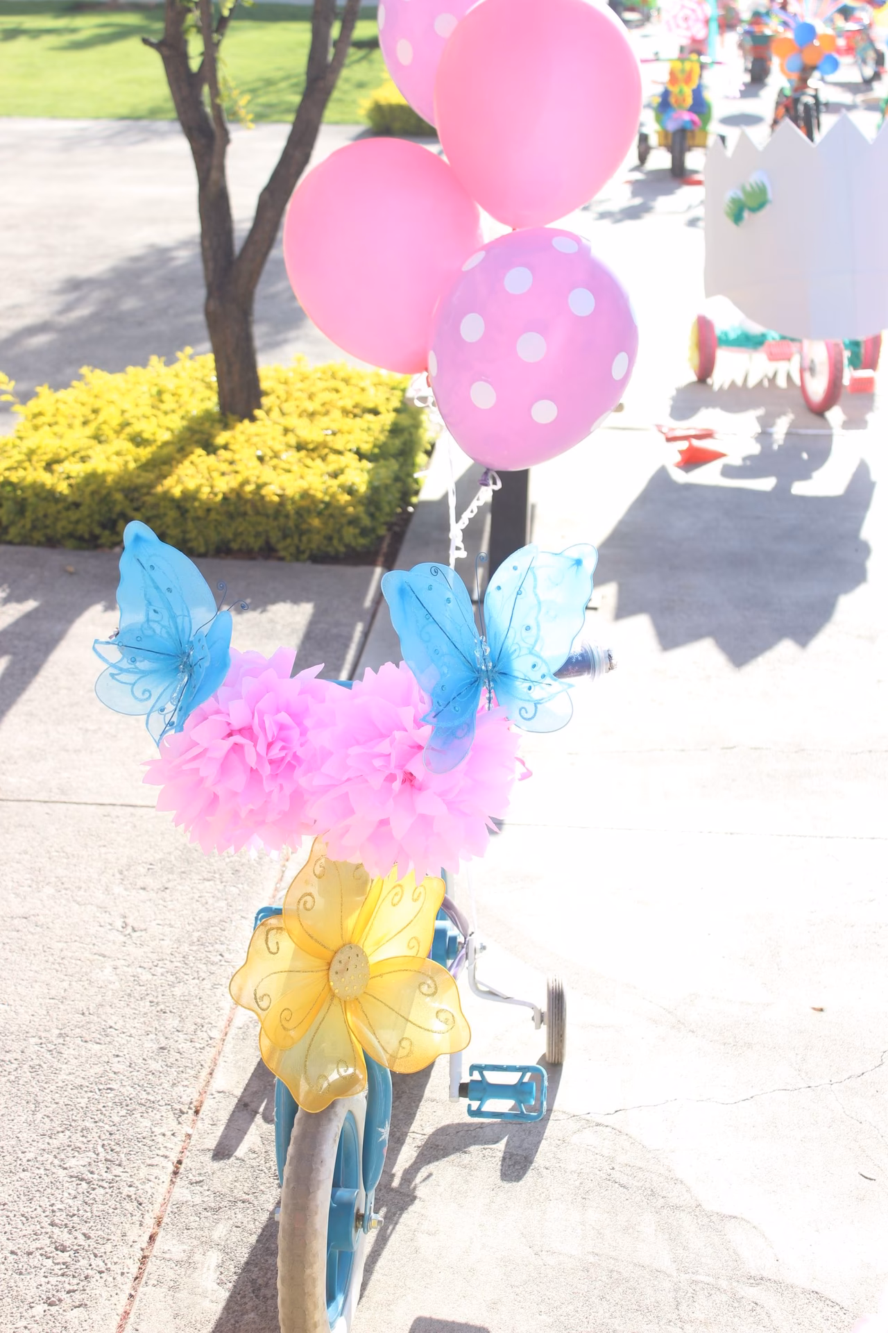 ¿Qué es una bicicleta con neumáticos de globo?