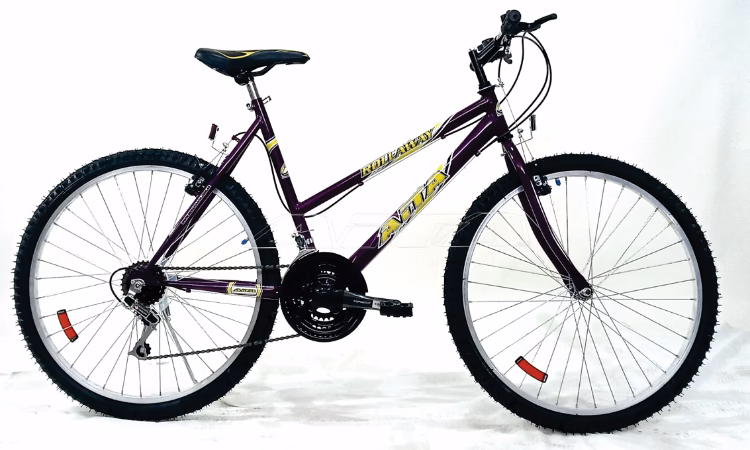 ¿Cuál es la mejor manera de vender una bicicleta usada?