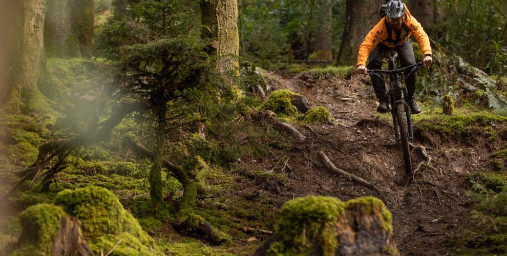 What is the feeling of riding a bike?