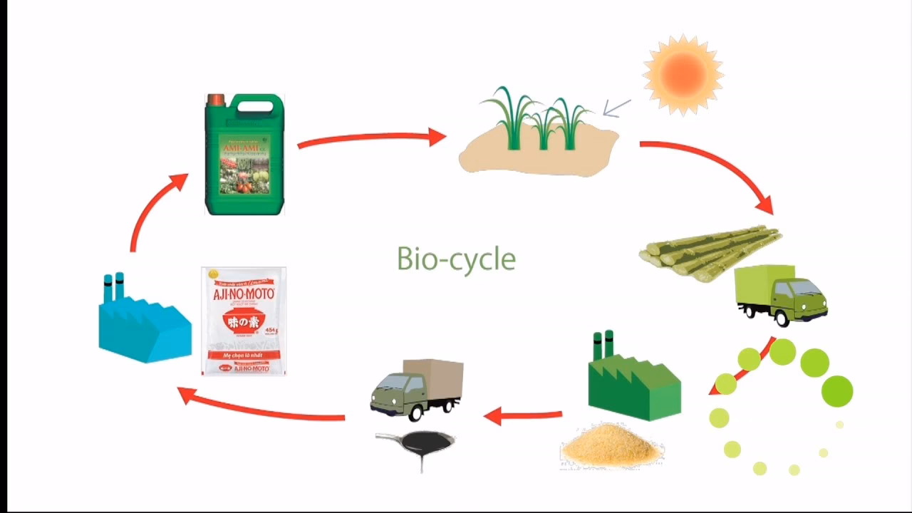 What is BioCycling?