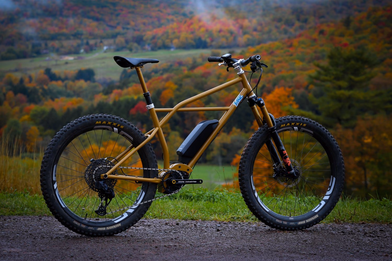 Does Bosch make e-bikes?