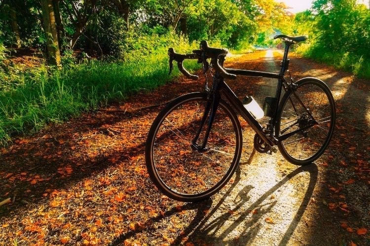 What bike is best for Camino de Santiago?