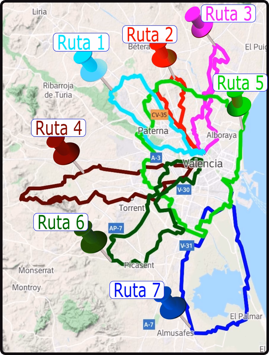 ¿Qué pasó con el carril bici de Valencia?