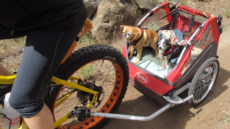 ¿Son seguros los remolques de bicicleta para perros?