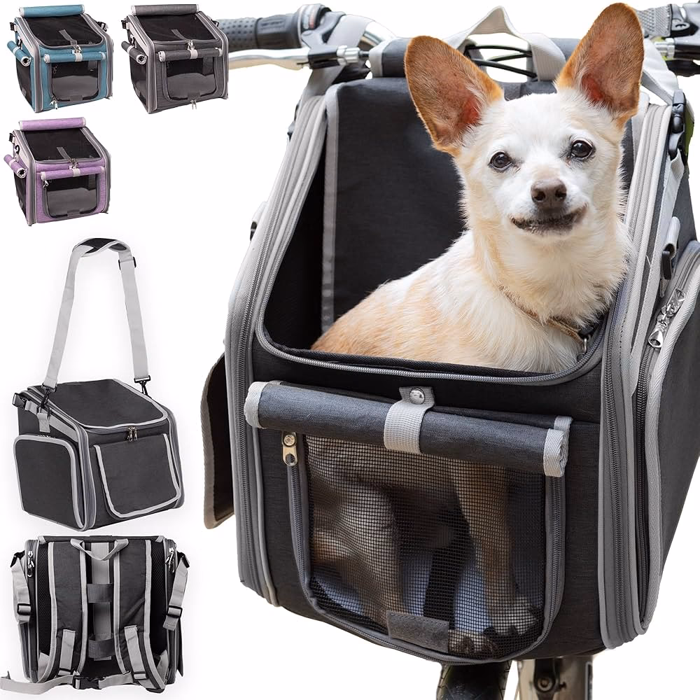 ¿Es seguro poner un perro en la cesta de una bicicleta?