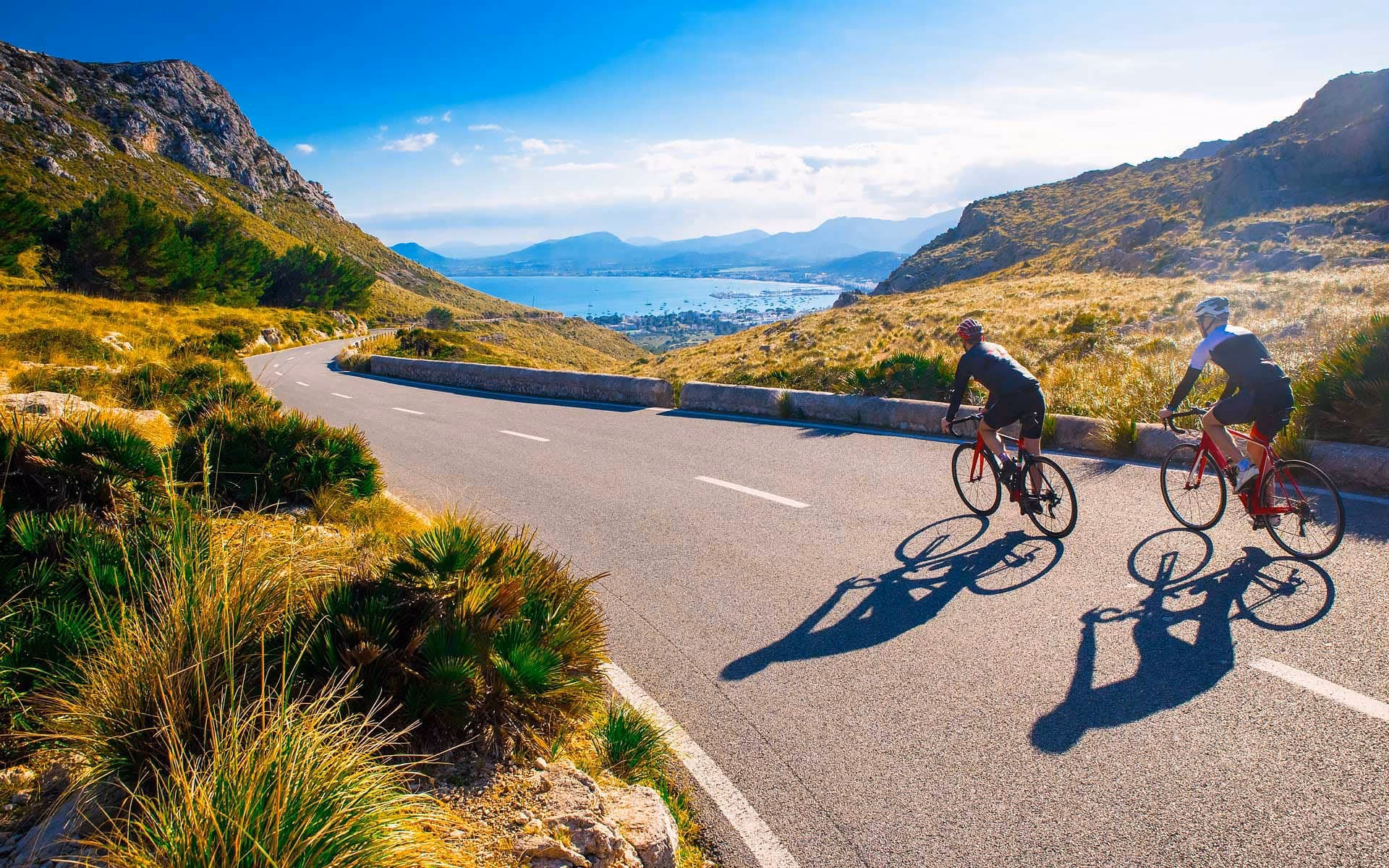 Where are the Germans in Mallorca?