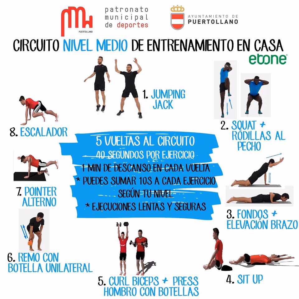 ¿Cuántos tipos de circuitos hay?