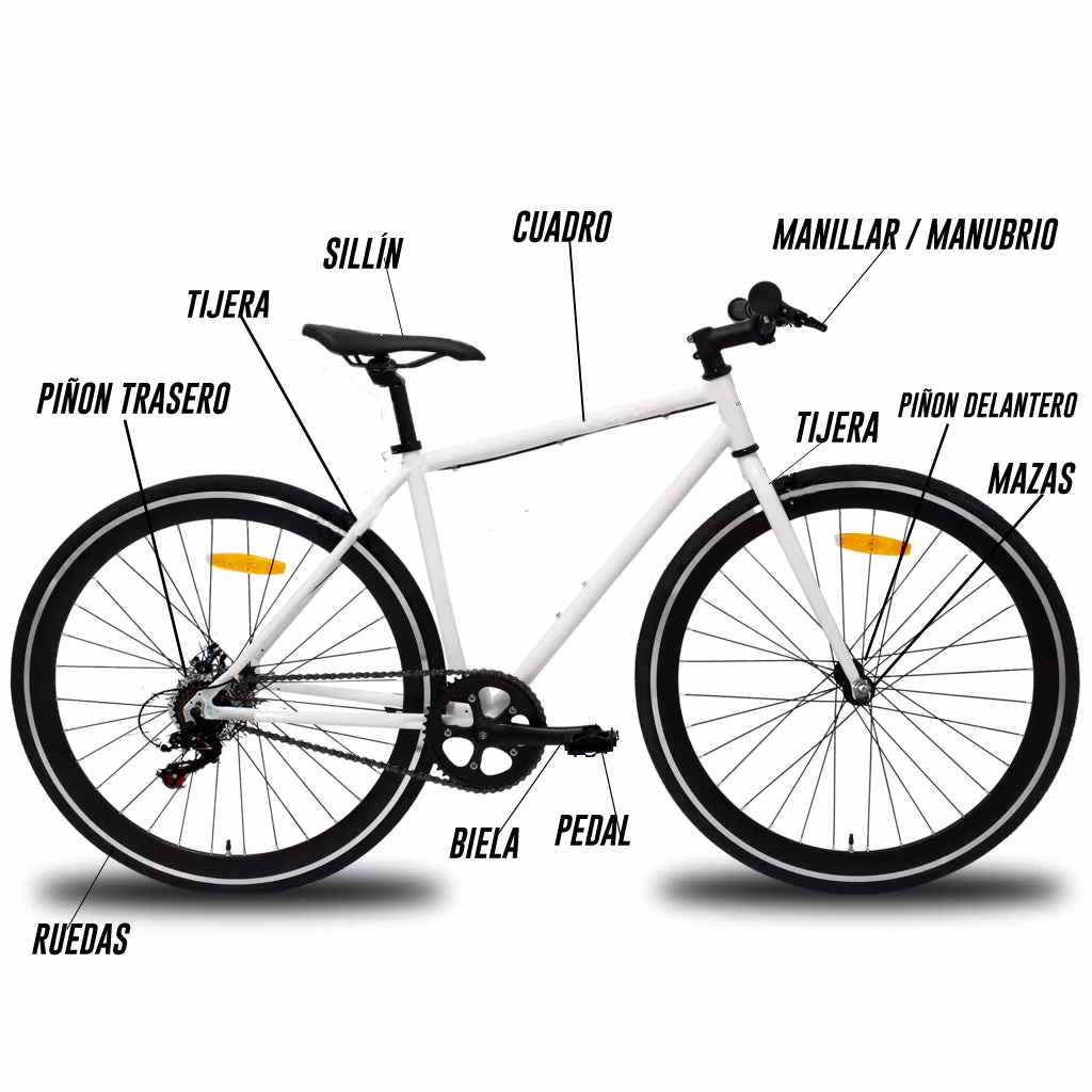 ¿Cómo funcionan los piñones?