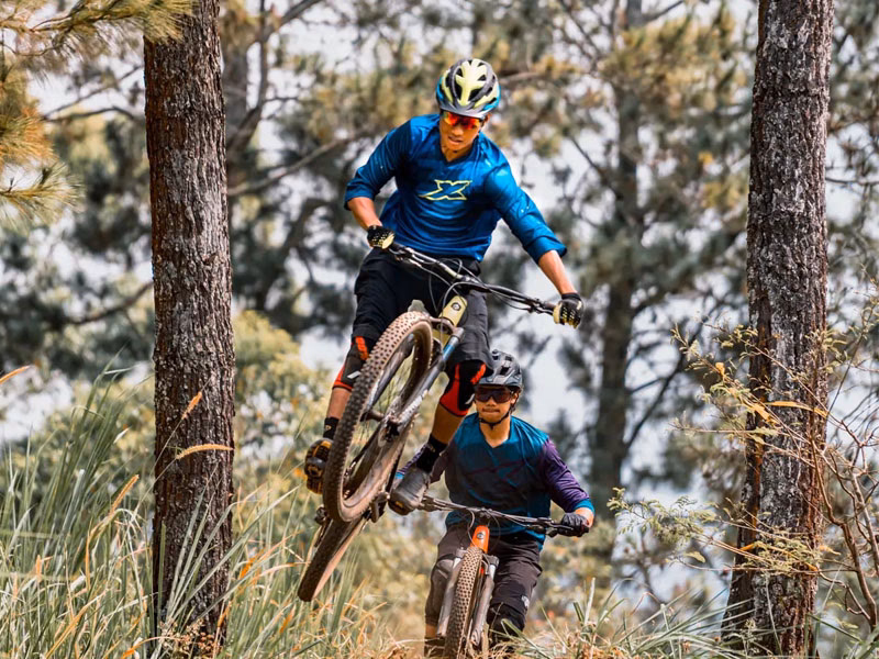 What's the difference between a trail bike and a cross country bike?