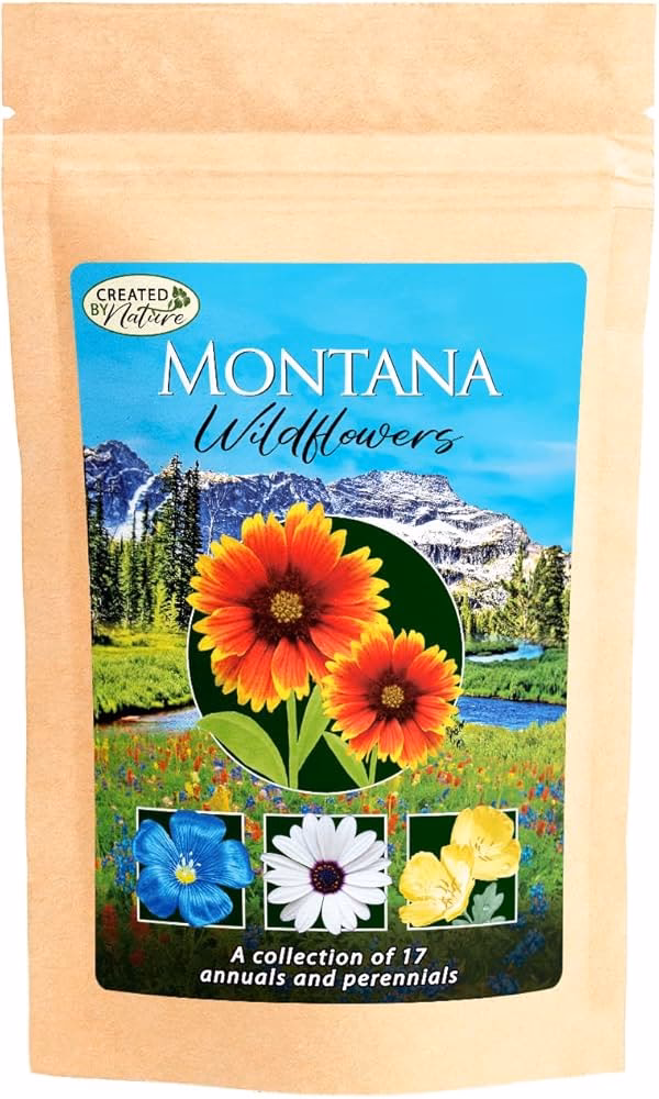 What is the difference between Montes and Montaña?