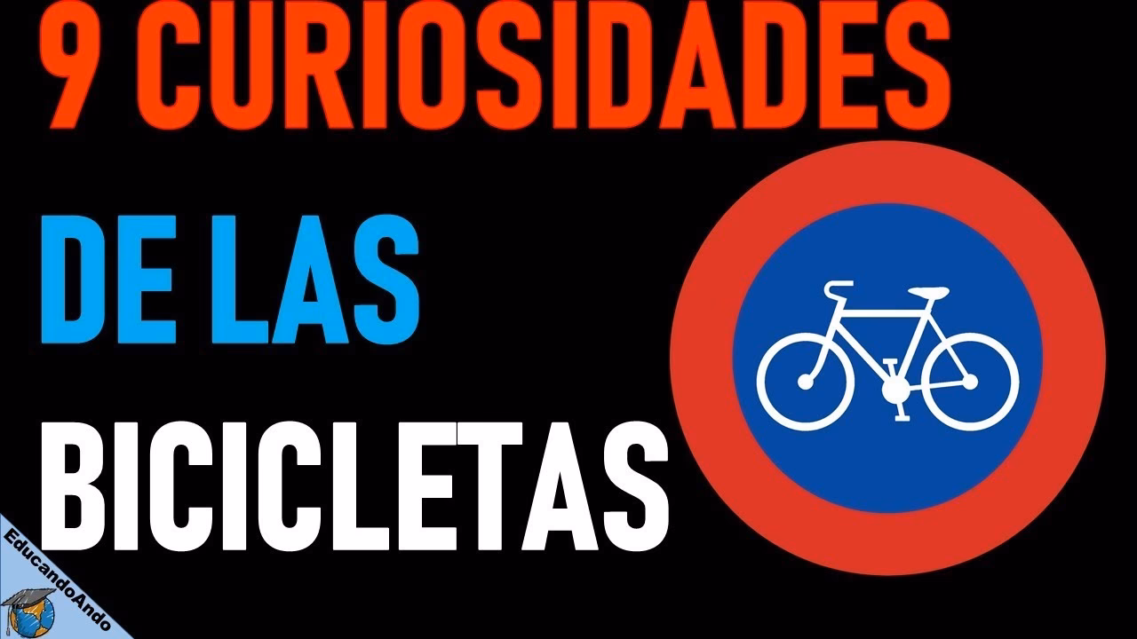 ¿Qué es lo más importante de la bicicleta?