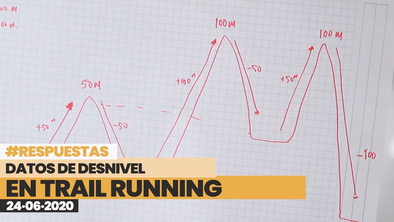 ¿Qué es el nivel positivo y negativo?