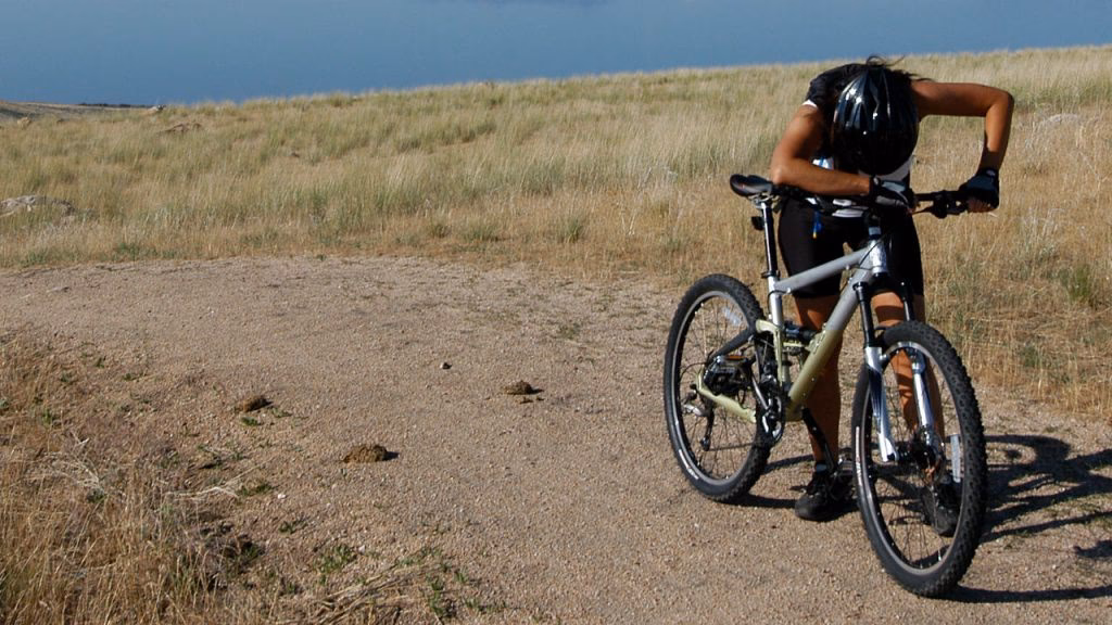 ¿Qué síntomas tiene una pájara?