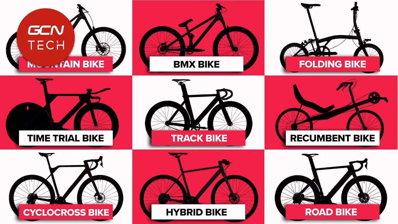 What are the 4 types of cyclists?