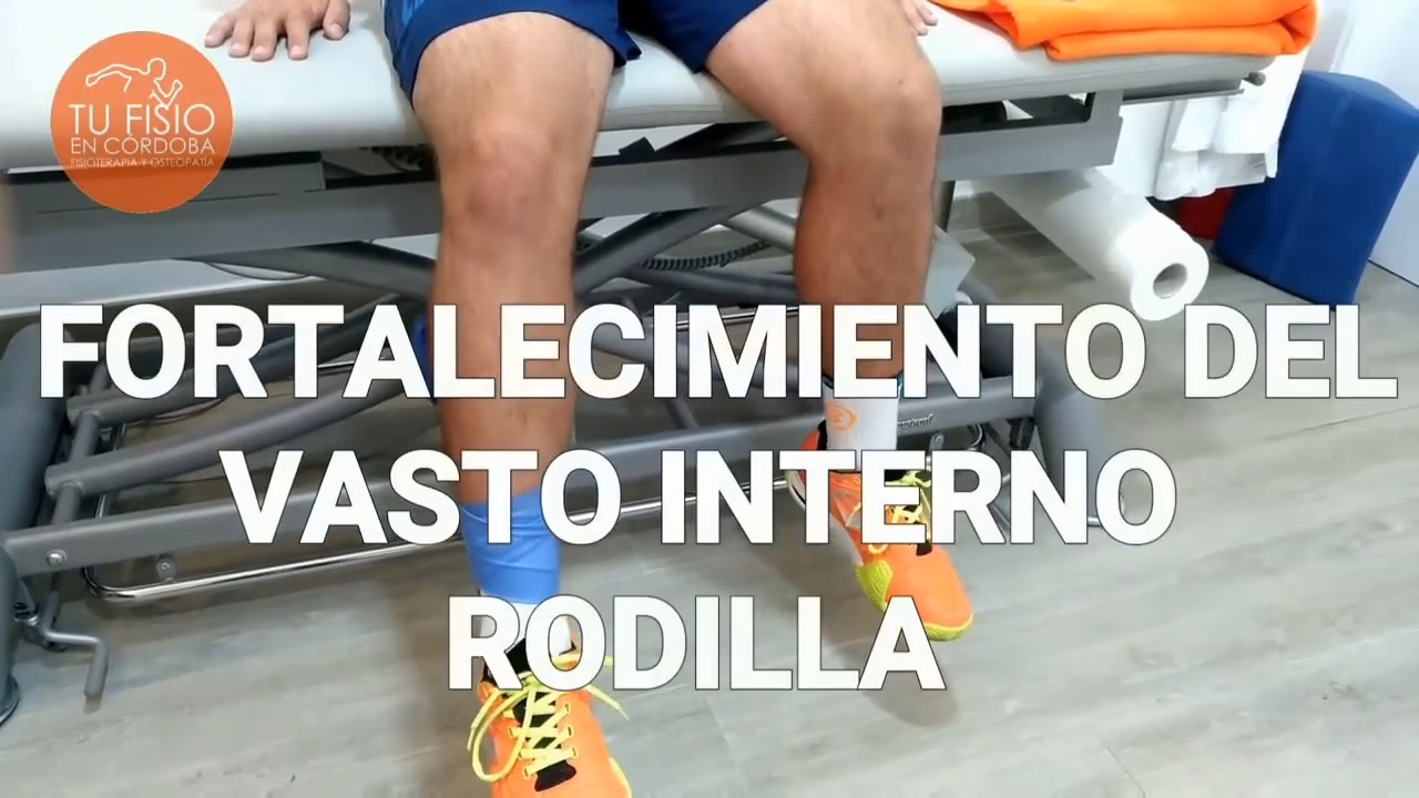 ¿Qué función cumple el vasto interno?