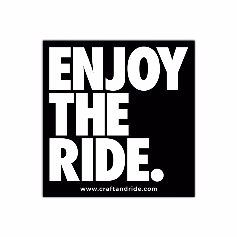 How do you use enjoy the ride in a sentence?
