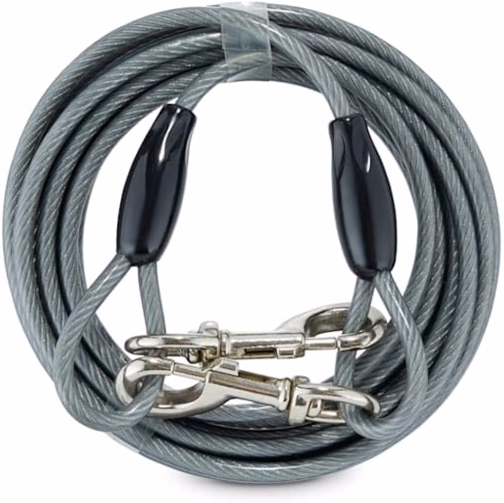 What is Equiano cable?