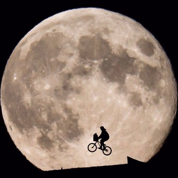 What happened to Elliott and his bike when riding with ET?