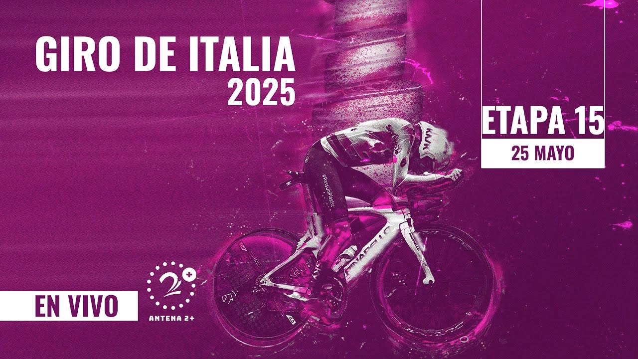 ¿Cuáles son las cuatro fases del giro?