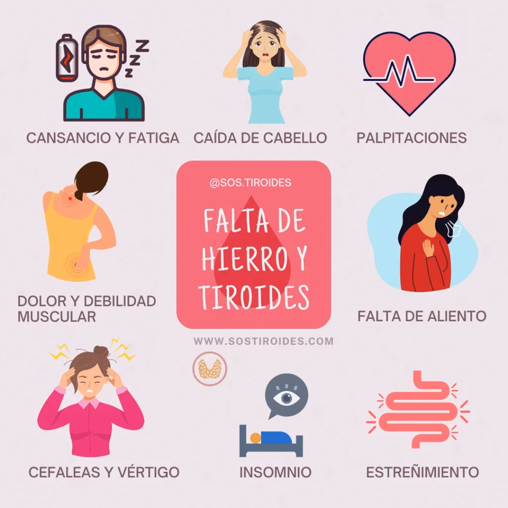 ¿Qué hace la ferritina en el cuerpo?