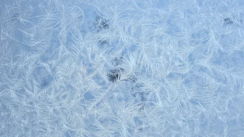 How do I fix my screen from freezing?