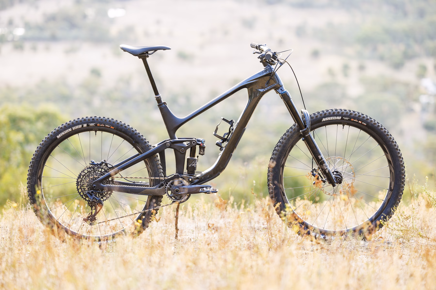 What type of bike is a Giant Reign?