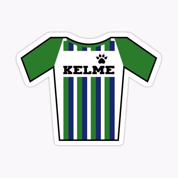 Who is the CEO of KELME?