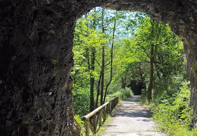 ¿Qué osos hay ahora en la Senda del Oso?