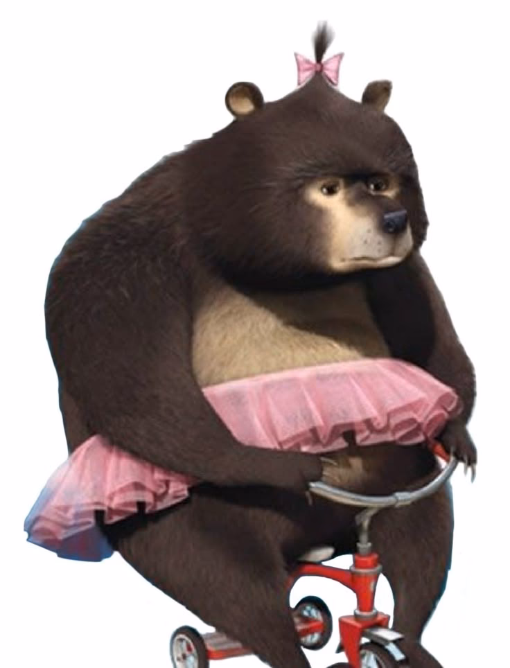 ¿Cómo se llama el oso que sale en Madagascar?