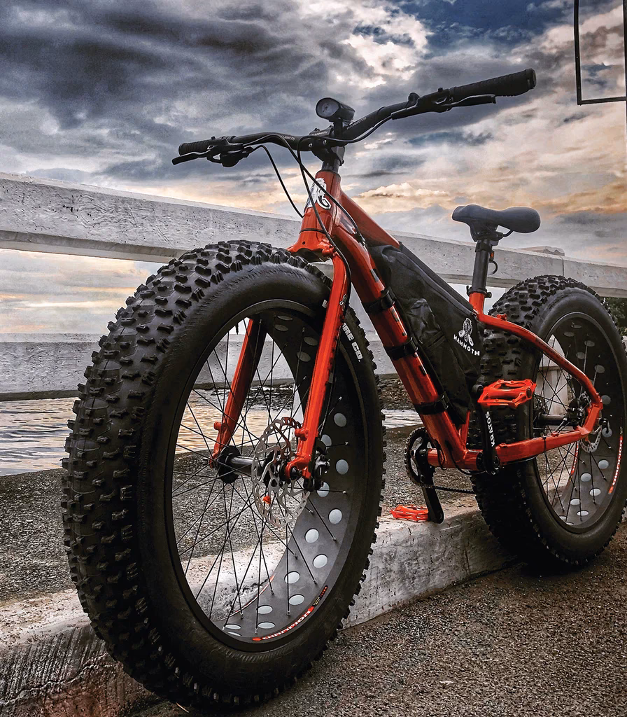 Does Mammoth Bike Park allow ebikes?