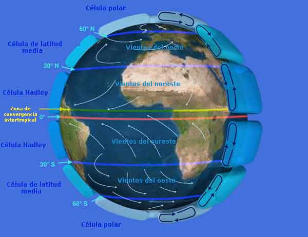 ¿Cuáles son los 4 tipos de vientos?