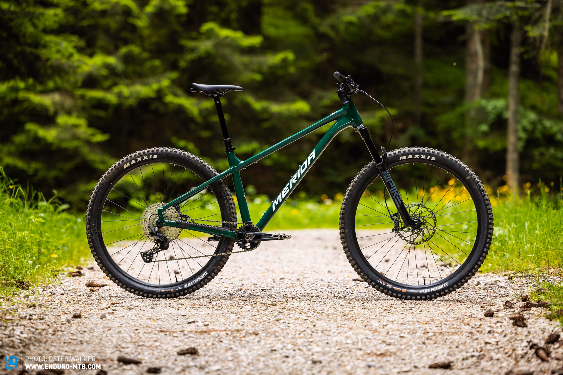 How much does the Big Trail 600 weight?