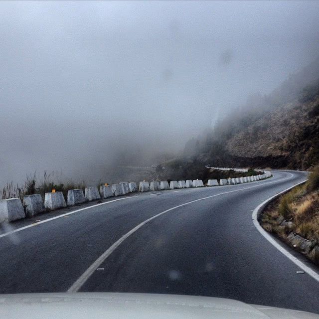 What type of bike is a Merida?