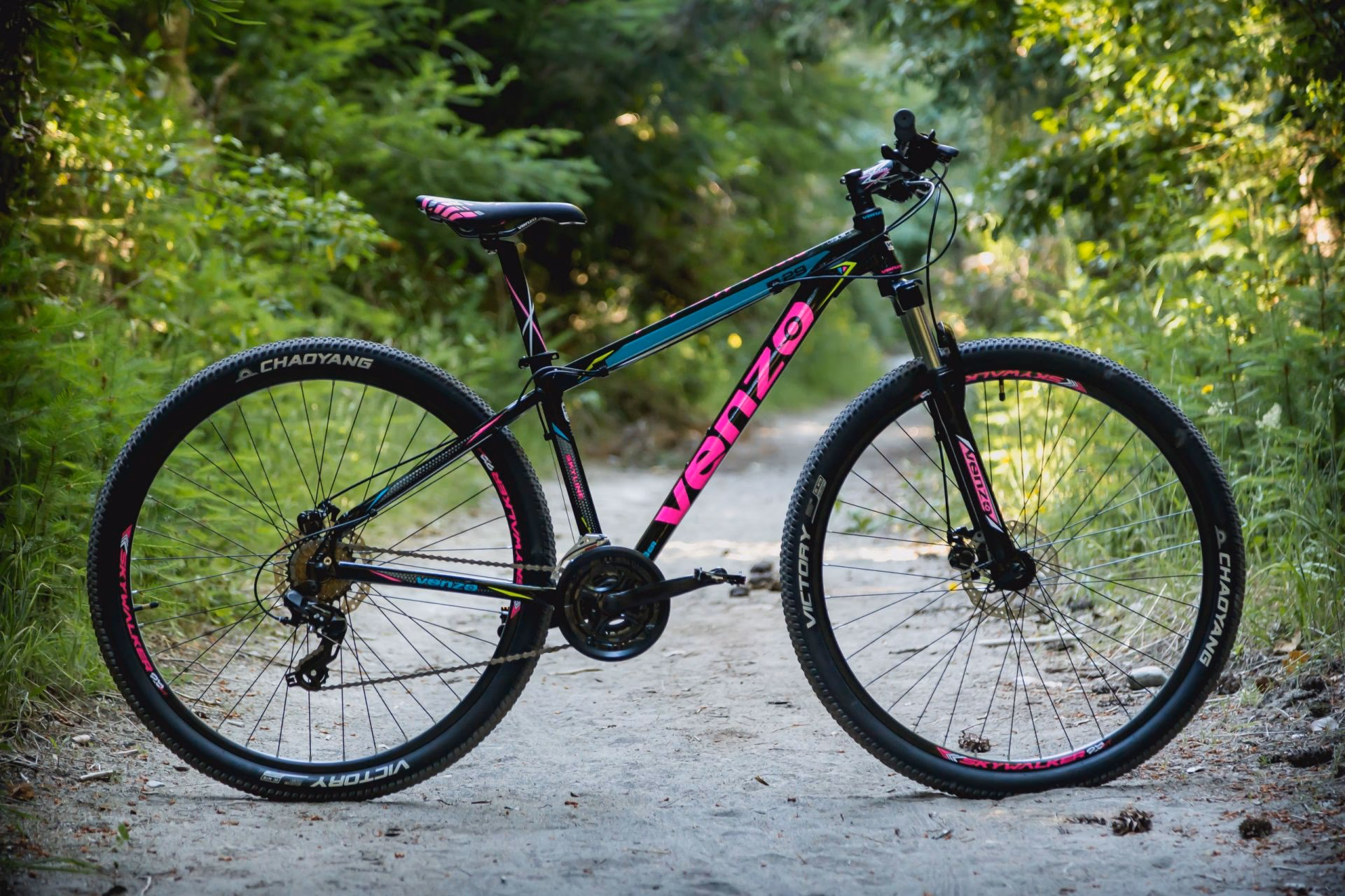 ¿Cuáles son las características del Venzo Thorn Evo 29?