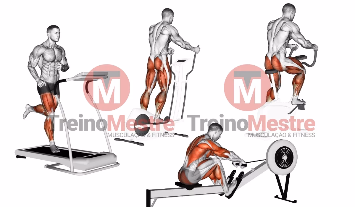 Qual cardio queima mais?