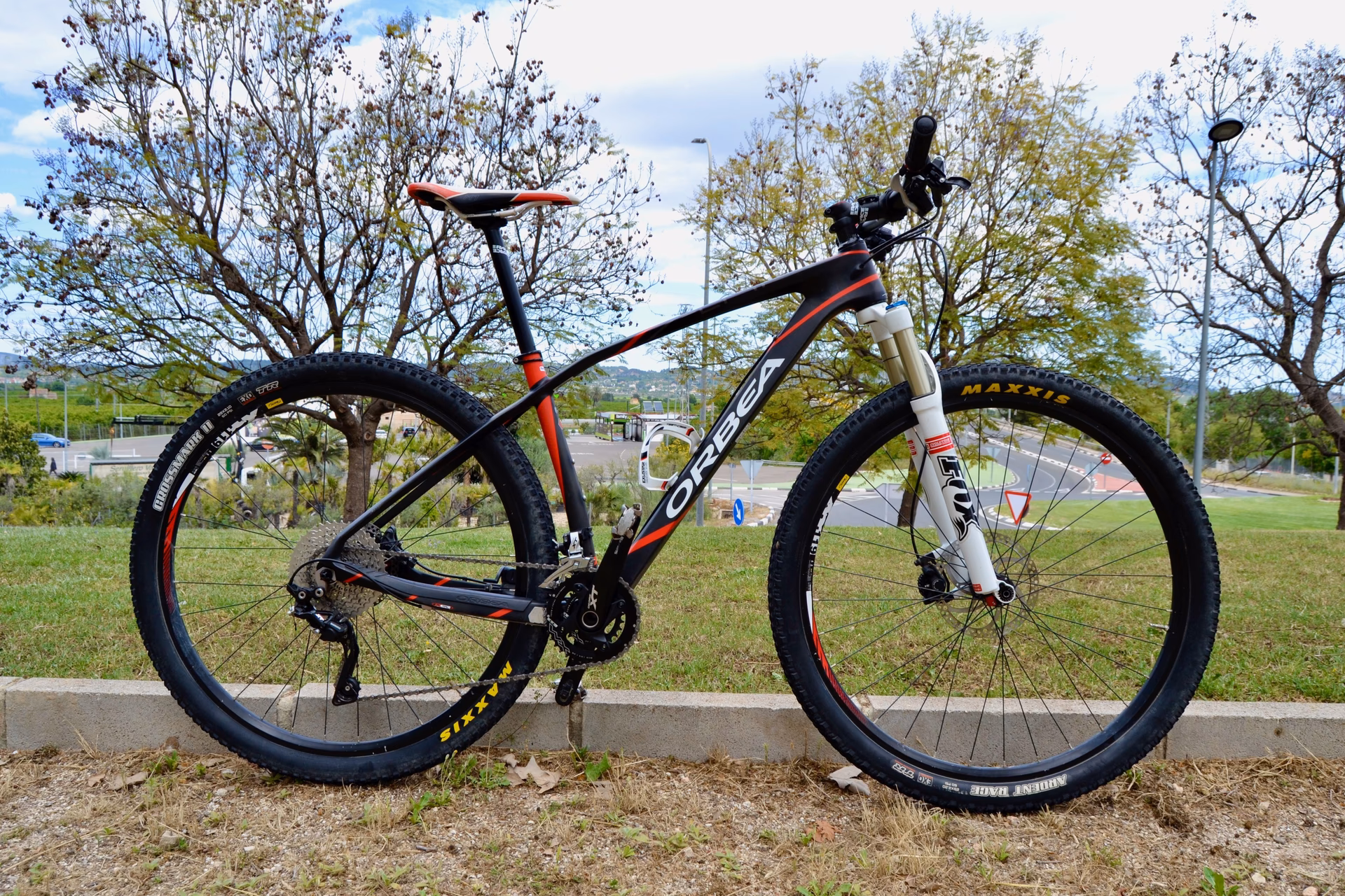 What type of rider is the Alma best for?