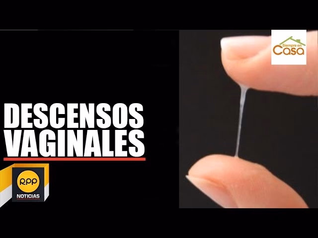 ¿Qué significa la palabra descenso?